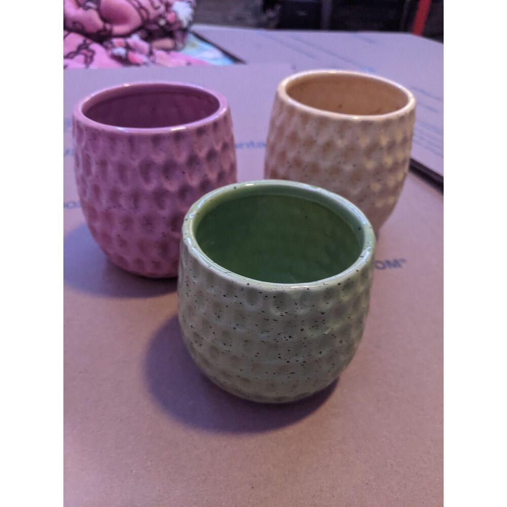 Set of 3 Pastel Ceramic Succulent Pots Textured Speckled Planters